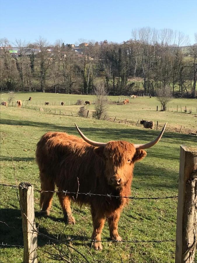 Le Gite De Buffetieres Saint-Romain-de-Popey Exterior foto